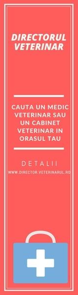 Care va ajuta la durerea severa a articulatiilor