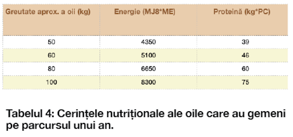 tabelul 4